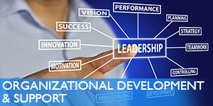 Organizational Development & Support